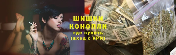 мдпв Дмитровск