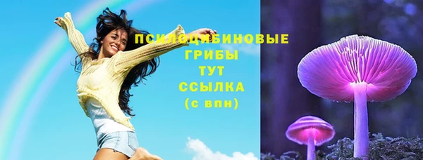 мдпв Дмитровск