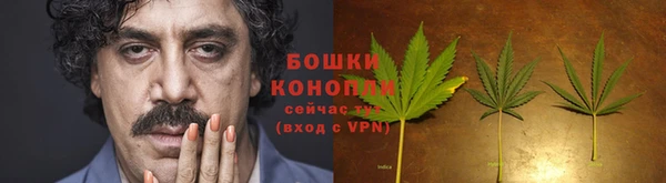 мдпв Дмитровск