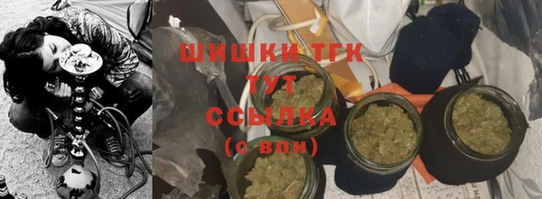мдпв Дмитровск