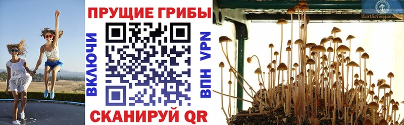 Галлюциногенные грибы GOLDEN TEACHER  Королёв 