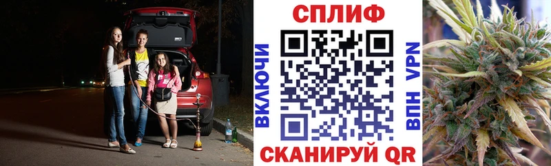 Шишки марихуана MAZAR  Королёв 